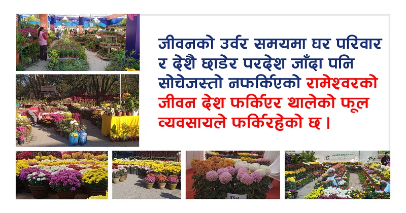वैदेशिक रोजगारबाट फर्किएर नर्सरी व्यवसाय गर्नेको अनुभव : काम गर्ने हो भने यहीँ विदेशभन्दा राम्रो कमाइ छ