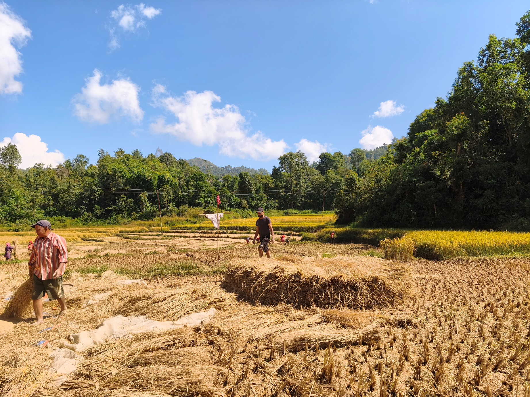 4688.jpg-1792480283.jpeg