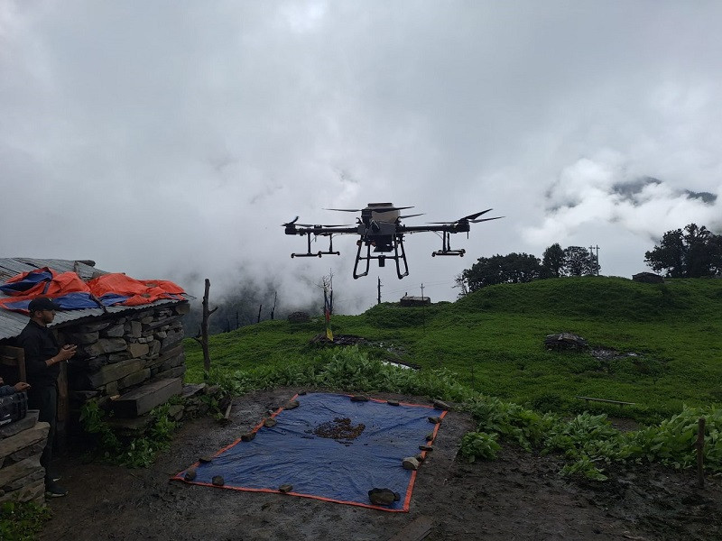 रसुवामा ड्रोनमार्फत वनस्पति र घाँसका बीउ छरियो