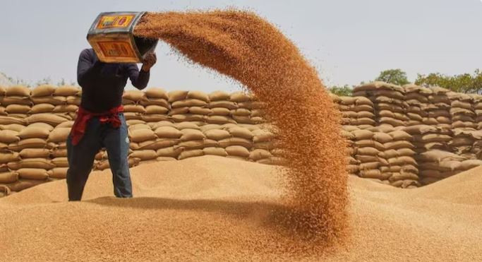 भारतमा  गहुँ निर्यात प्रतिबन्ध हट्यो