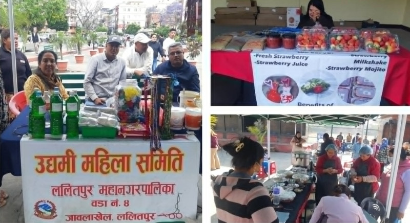घरको घेराभित्रबाट उद्यमको उचाइसम्म