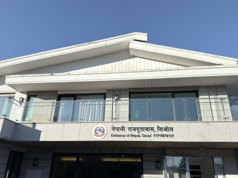बाढी प्रभावितलाई स्वदेश फर्काउन दूतावासहरूको सहजीकरण