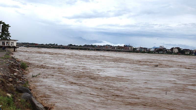 नारायणीको बाढीले बगाएको गैँडा सुस्तामा भेटियो