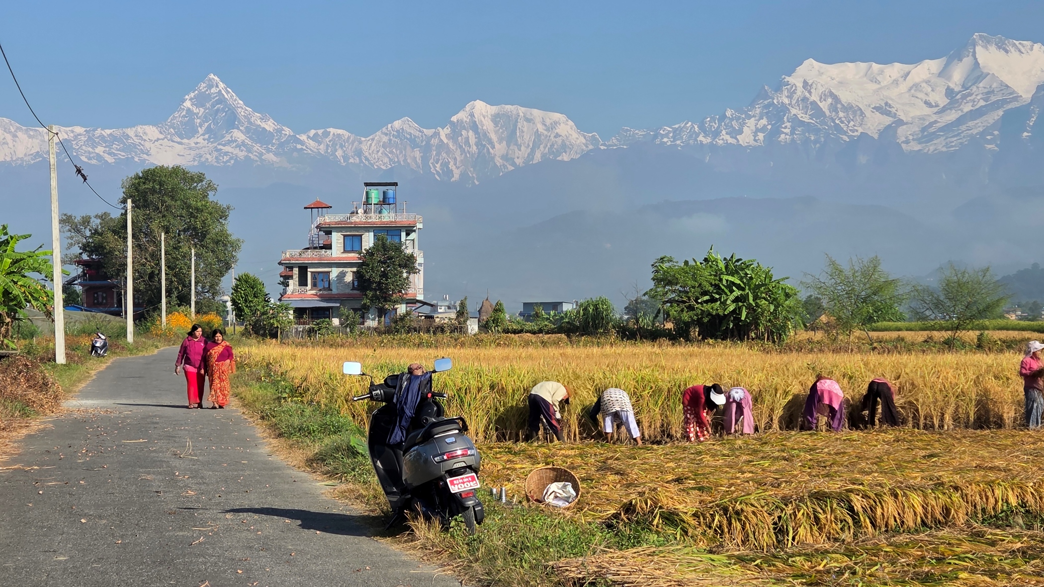 BP_POKHARA_20261023_084338-(1)-1792807906.jpg
