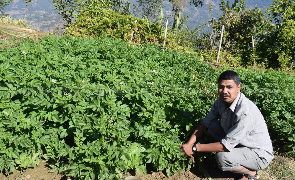 पौरखी प्रेम भन्छन् ‘जाँगरिलाको भागमा मासु मासु, अल्छीको भागमा आँसु आँसु’
