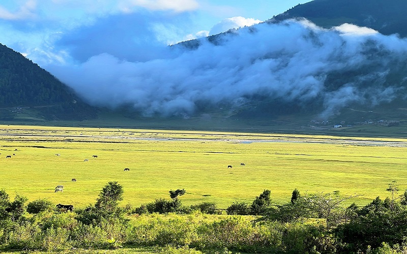 ढोरपाटन सिकार आरक्षमा पर्यटकको सङ्ख्या उल्लेख्य बढ्यो