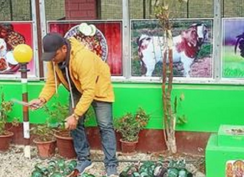 अनुगमन समितिले दिएकाे सुझाव नमान्ने धादिङका तीन होटललाई जरिबाना