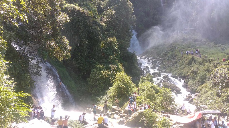 सुइरे चौर, लौकी झरना र सम्पादक समाज