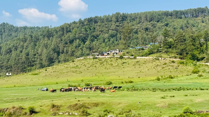 नभुल्ने नियात्रा : जिरीसम्मको यात्रा