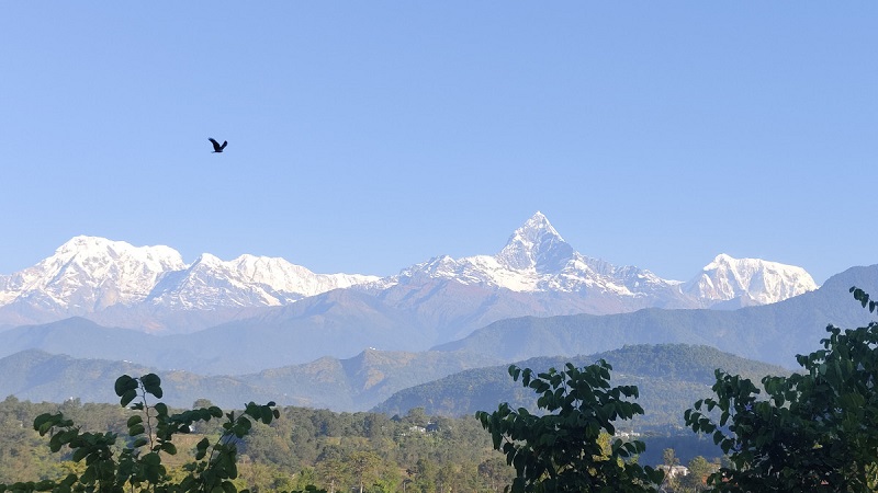 Machapuuchre-1-1792901815.jpg