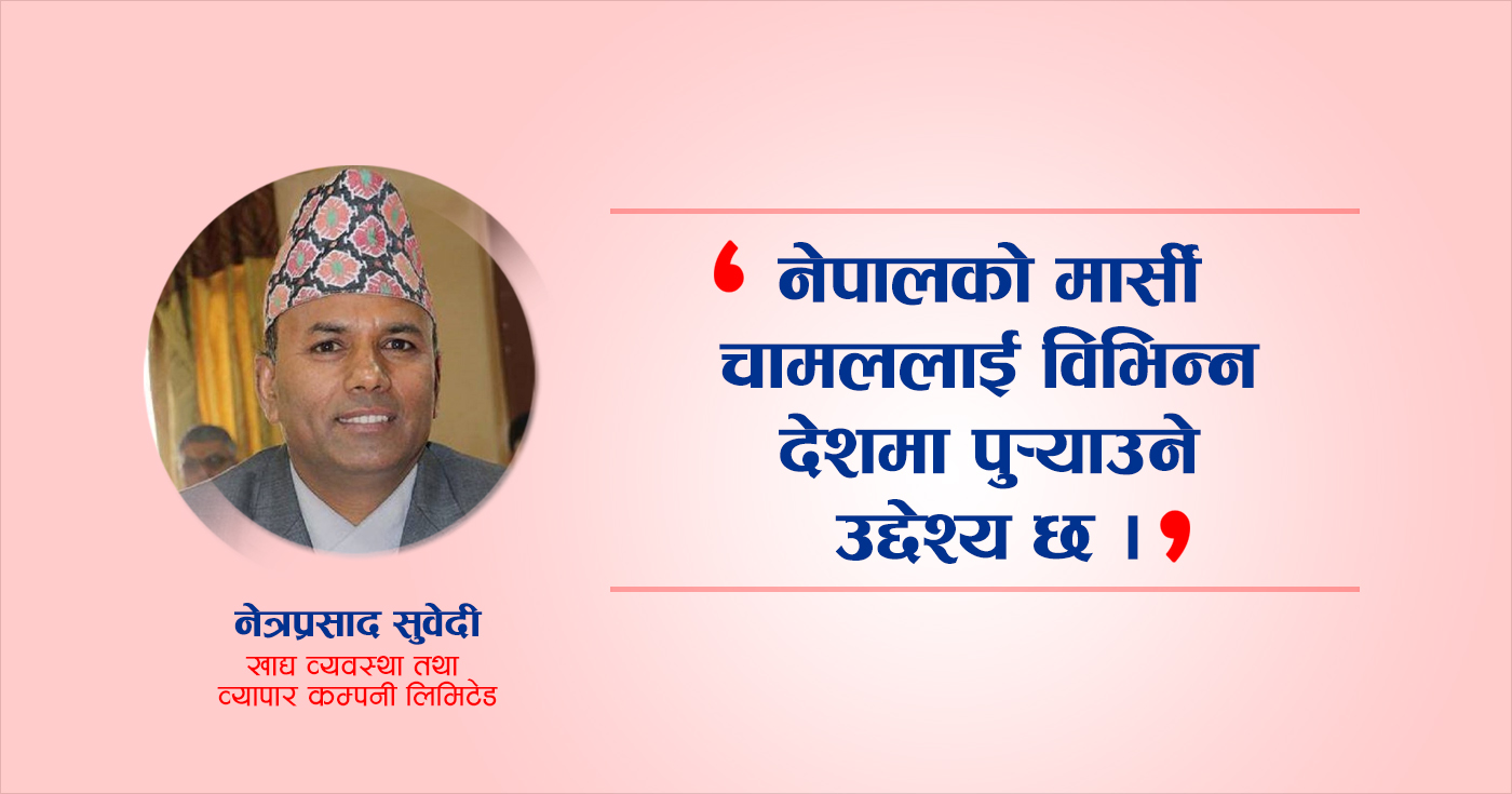 जुम्लाको मार्सी चामललाई यसरी गरिँदैछ ‘नेपाल ब्राण्ड’