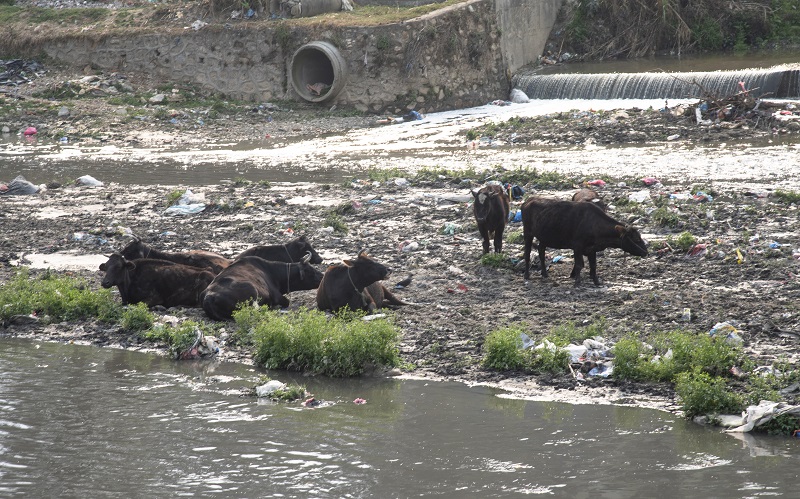 २९ वर्षमा झण्डै १७ अर्ब रुपैयाँ खर्चे पनि बाग्मती र सहायक नदीको फोहर र दुर्गन्ध हटेन