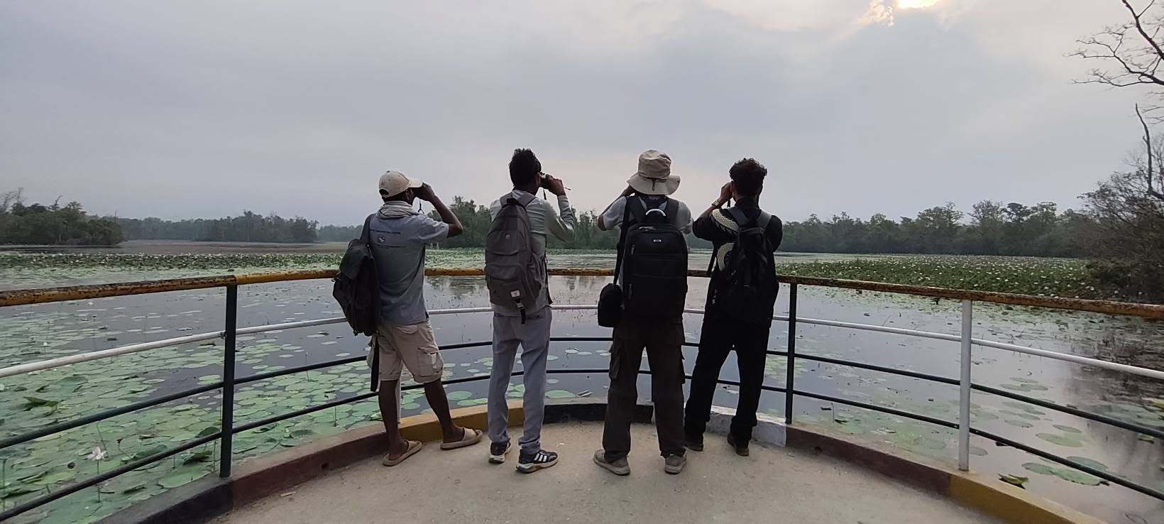 घोडाघोडी सिमसार क्षेत्रमा हरिहाँसको गणना सुरु