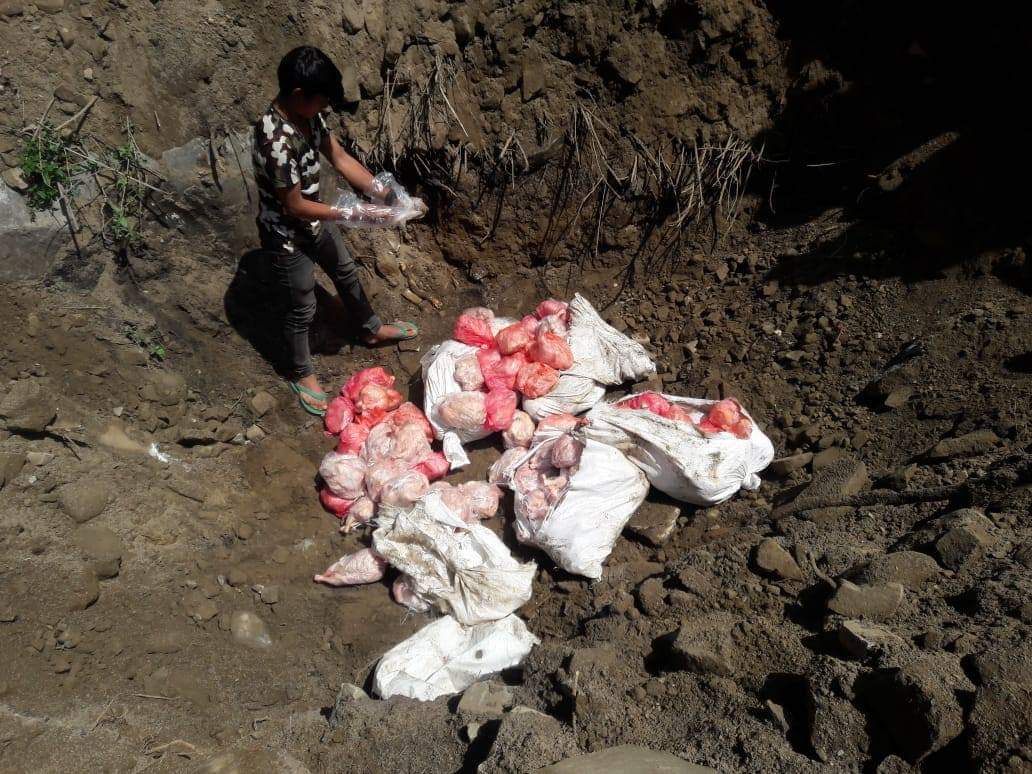 बर्डफ्लु प्रभावित किसानलाई क्षतिपूर्तिका लागि ५० करोड रकम निकासा