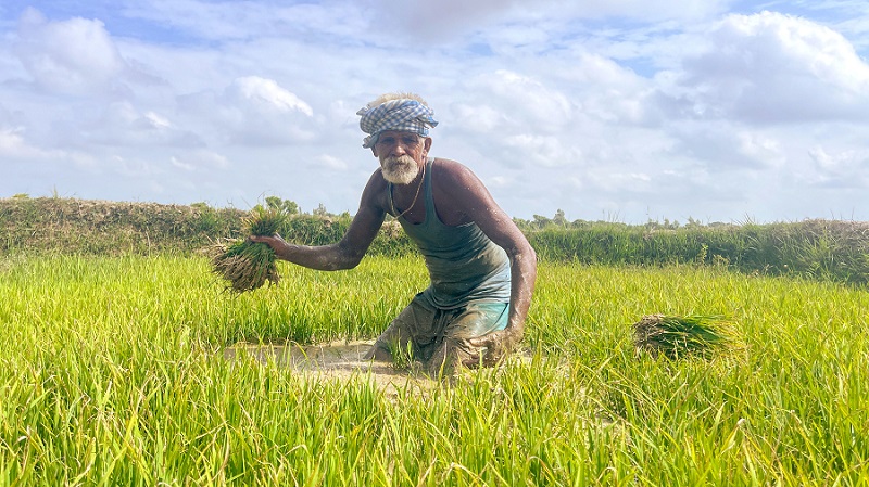 खेतमा काम गर्दा आँखा जोगाउन डाक्टरको सुझाव