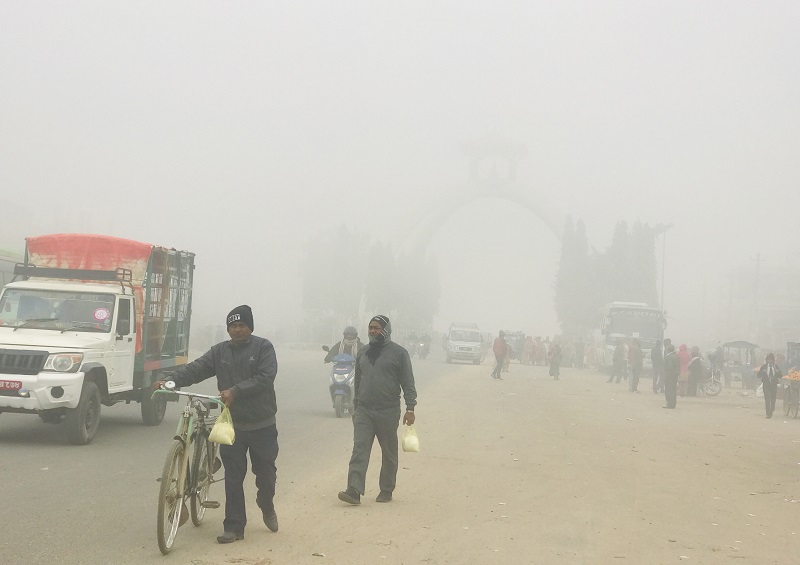 तराईका विभिन्न जिल्लामा शीतलहर : लगातारको बाक्लो हुस्सुले जनजीवन प्रभावित
