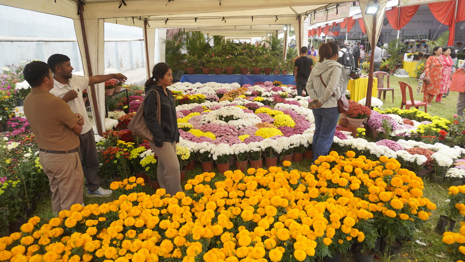 godawari-puspa-mela-(2)-1793255764.jpg