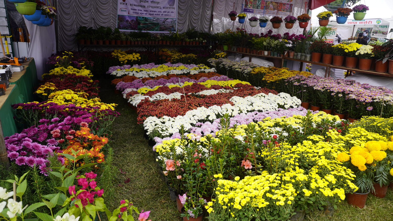 godawari-puspa-mela-(29)-1793255772.jpg