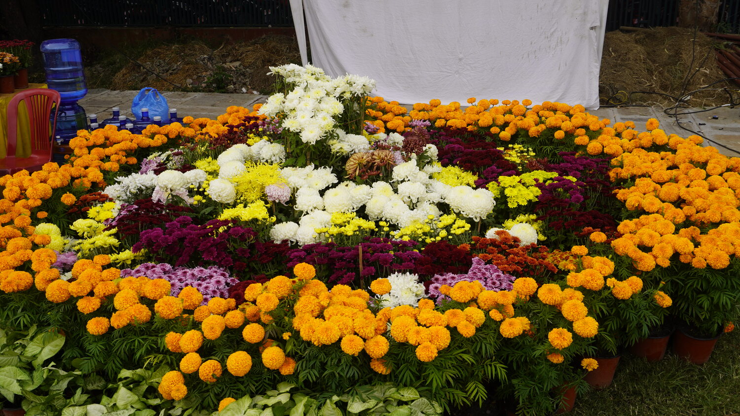godawari-puspa-mela-(36)-1793255773.jpg