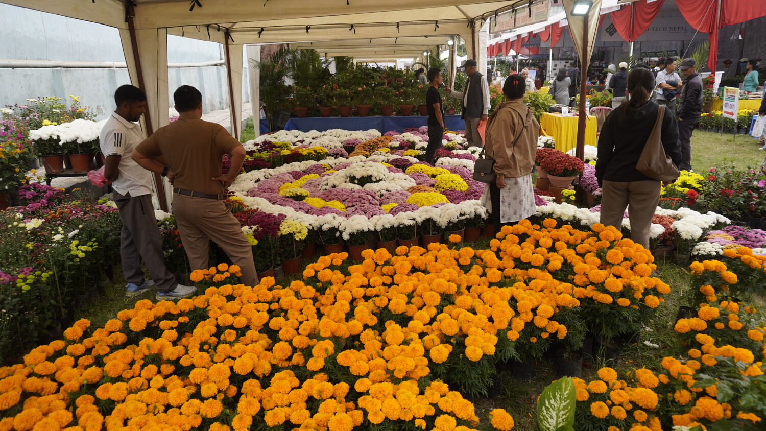 godawari-puspa-mela-(4)-1793255765.jpg