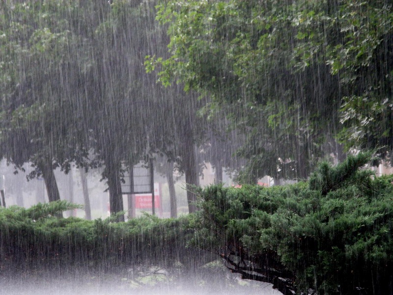 मध्य र पूर्वी भेगका केही ठाउँमा ठूलो वर्षा