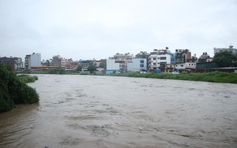 जल तथा माैसम विज्ञान विभागले भन्याे– ‘प्रक्षेपणअनुसार बाढीको खतरा छैन’