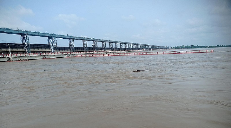 कोशी ब्यारेजमा जलसतह बढेसँगै ३१ वटा ढोका खोलियो