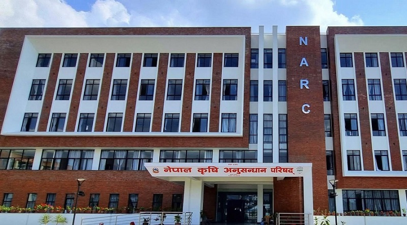 सम्पर्कविहीन कर्मचारीमाथि कारबाही शुरू