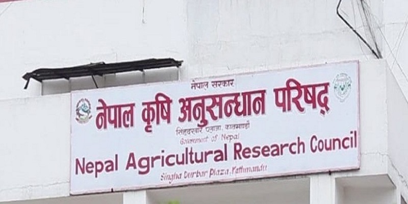 जिङ्क गहुँ–१ को आटा उत्पादन र प्रवर्द्धनबारे नार्क र बिग एग्रोबीच सम्झौता