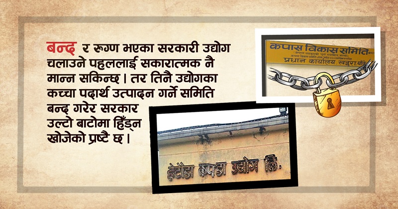 सरकारको उल्टो बाटो : कपडा उद्योग चलाउने तर कपास विकास समिति भने खारेज