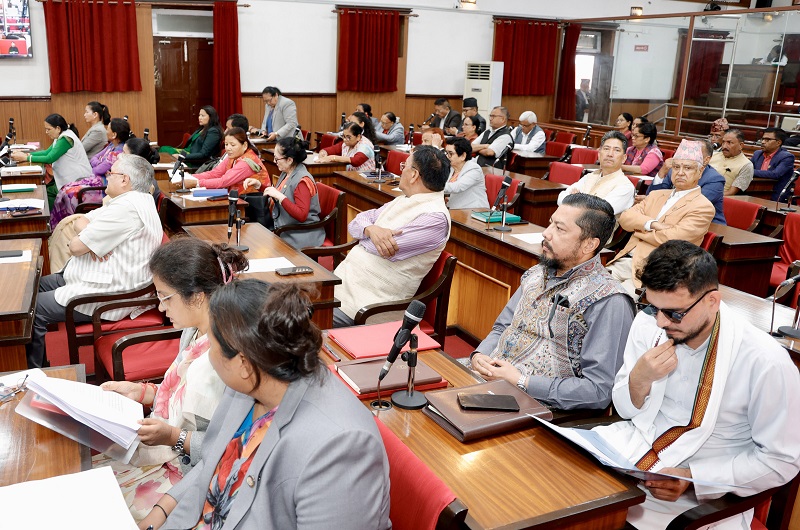 ४ वटा विधेयक दफावार छलफलका लागि विधायन समितिमा पठाउने प्रस्ताव स्वीकृत