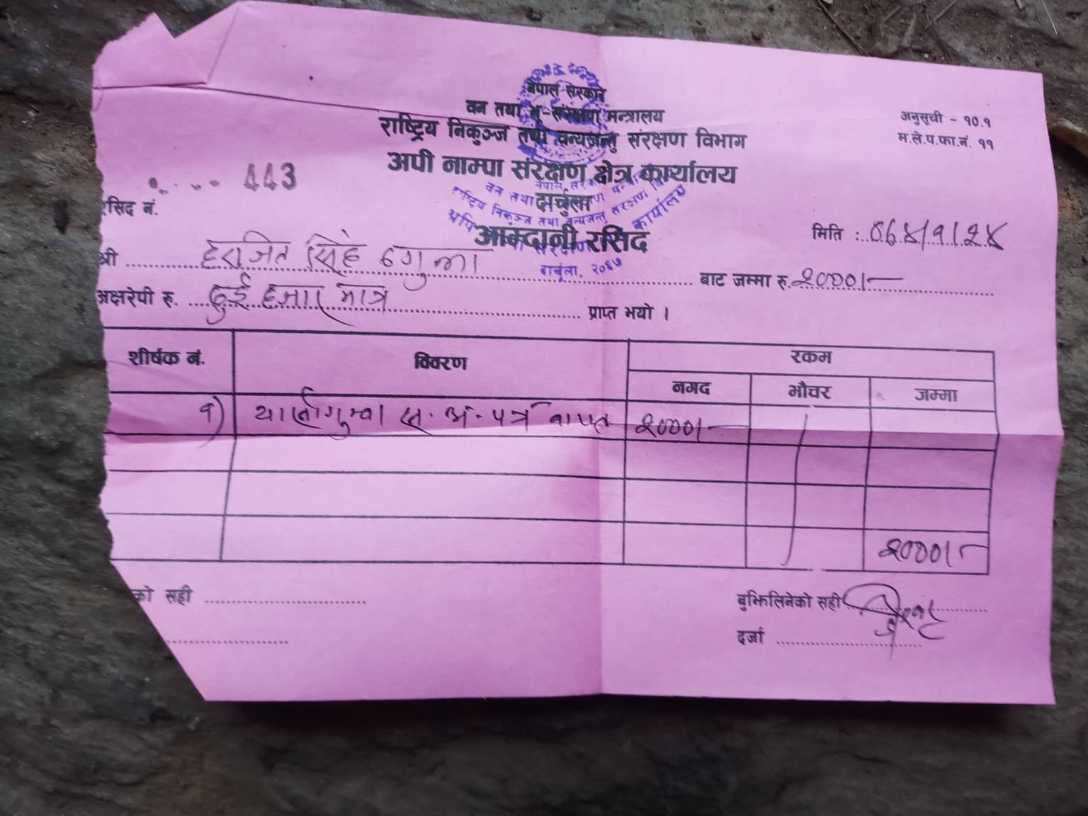 दार्चुलामा यार्सागुम्बा संकलनमा दोहोरो कर