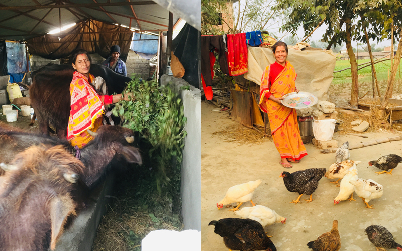 'मुदिर' बनाउँछु भनेर साउदीमा महेन्द्रलाई कम्पनीले ठग्यो, रित्तो हात फर्कँदा श्रीमतीको साथ मिल्यो