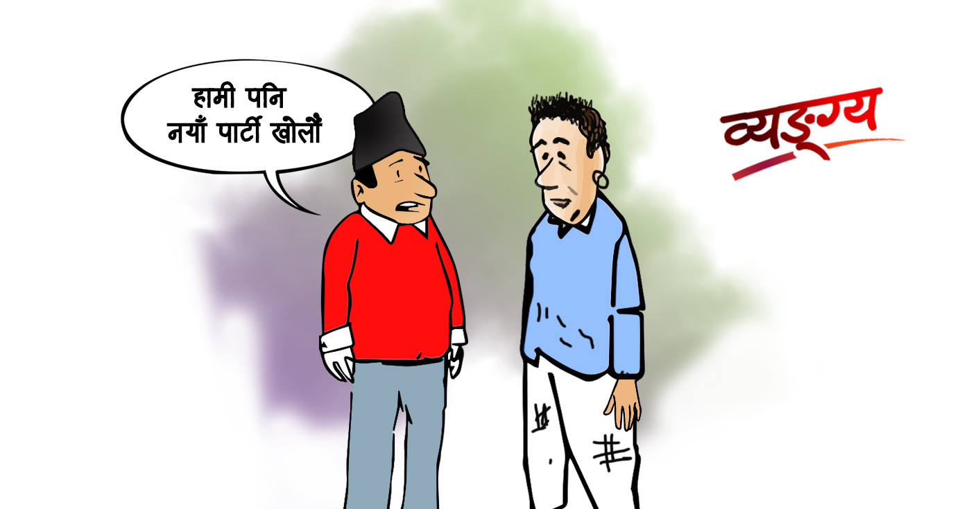 तपाईंलाई पनि एउटा पार्टी खोलौं खोलौं लाग्दैन ?
