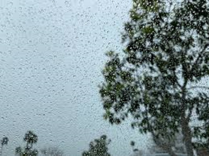 तराईमा हावाहुरी, पहाडी क्षेत्रमा पानी पर्ने सम्भावना