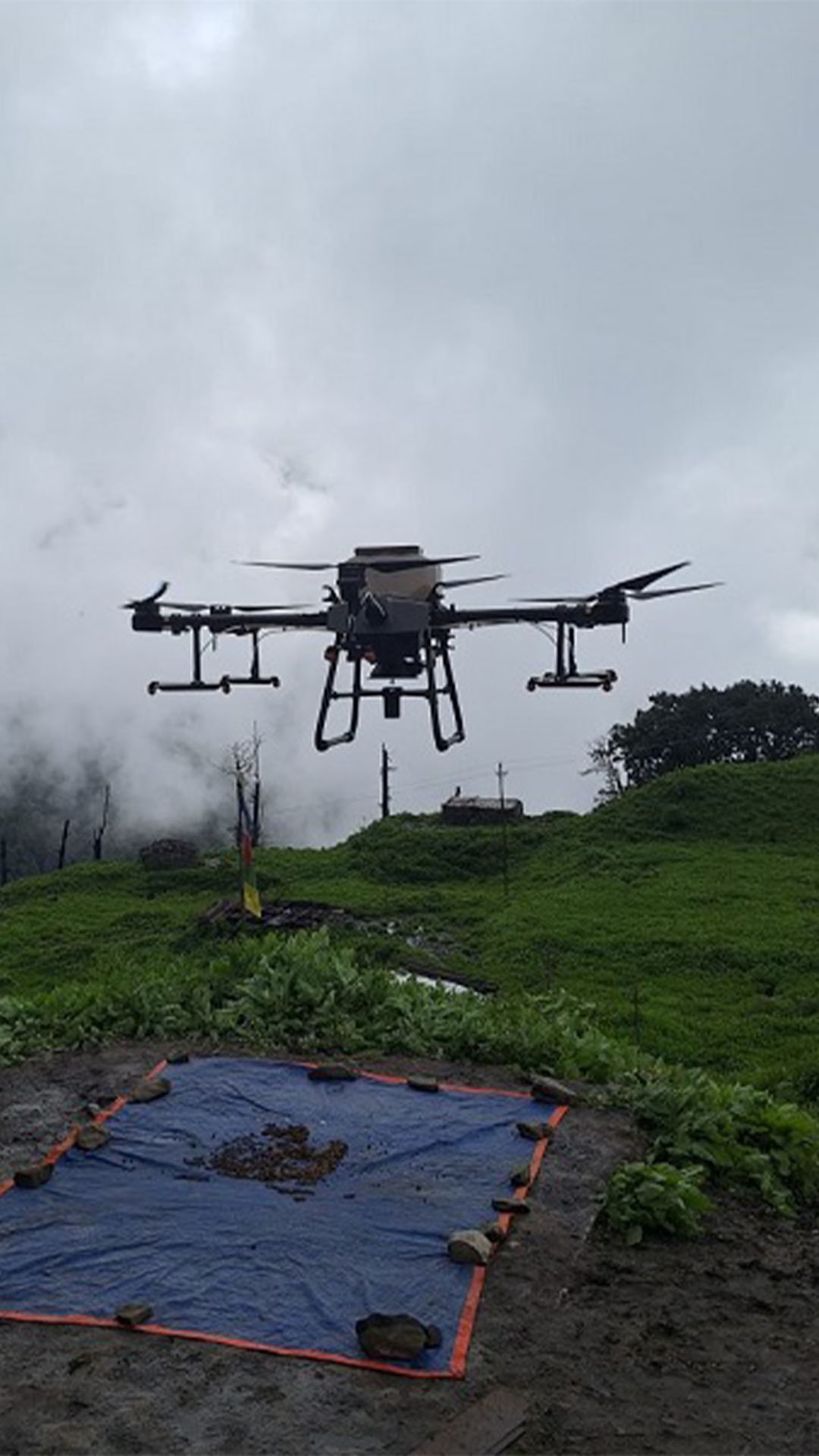 रसुवामा ड्राेनमार्फत वनस्पति र घाँसका बीउ छरियाे